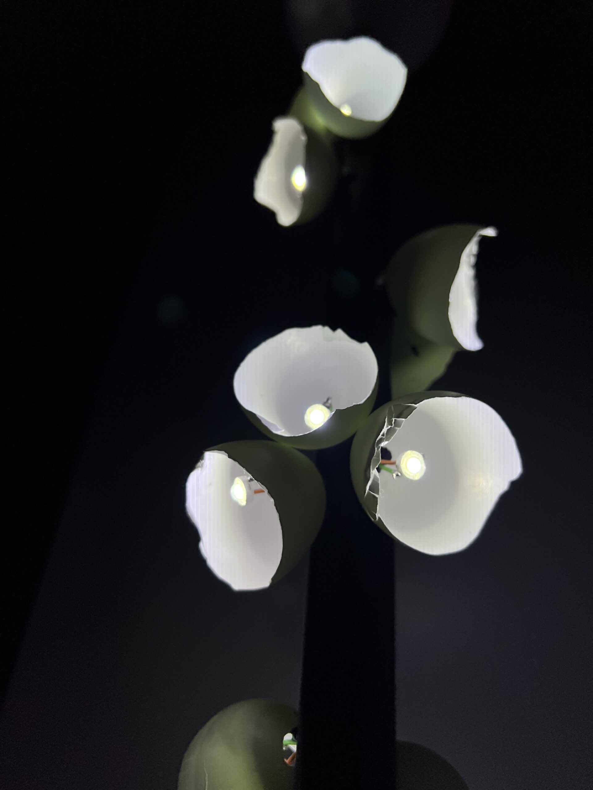 Právě si prohlížíte Produktový design – Reggen