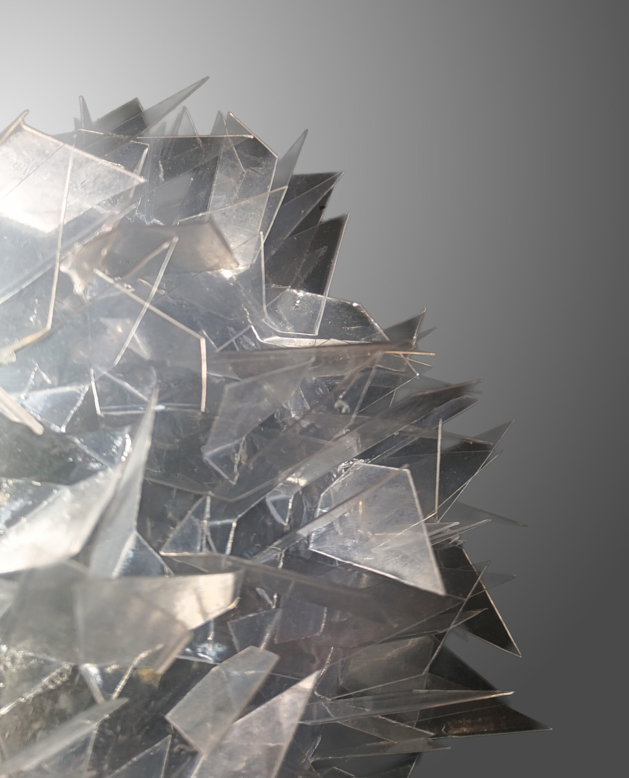 Právě si prohlížíte Produktový design – Cirsium